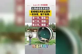 城区禁止遛狗、三次就捕杀？“最严养狗令”也要依法依规图片