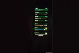 iPhone 12屏幕发绿 苹果客服回应：初步判断是系统问题 与硬件无关图片