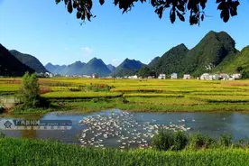在这里我“氧”你！广西4县上榜2020年度“中国天然氧吧”图片