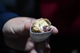 49秒｜疫情逆境中萌发新商机！聊城这家企业把“活珠子”卖火了图片