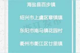 浙江第四批小城市培育试点名单公布 苍南钱库镇上榜图片