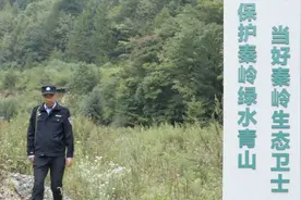 新华纵横｜秦岭深处的“国宝”卫士（成品）图片