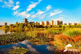 复圣文化园里的初冬美景图片