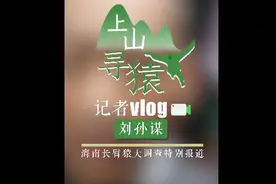 上山寻猿·记者vlog | 记者“打野”省电指南：手机亮度调到最低 所有软件都关掉图片