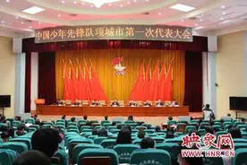 中国少年先锋队项城市第一次代表大会胜利召开图片