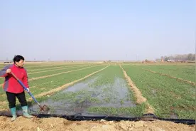 河北定兴以“电子计量”“节奖超罚”破解农业用水超采难题图片