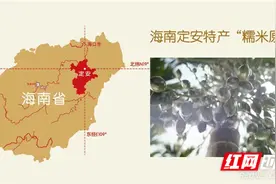 槟榔行业技术迎来国家专利新突破 新一代专利“软”槟榔成为市场新宠图片