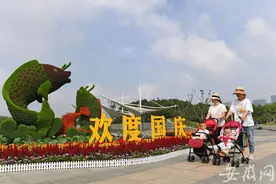 翡翠湖、南艳湖主题花展在合肥市国庆花展评比中喜获佳绩图片