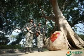 南部战区陆军某边防旅列兵：界碑旁，那梦中的橄榄树图片