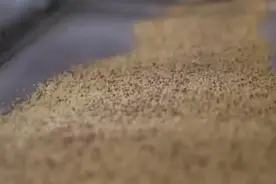 非遗文化丨炒米制作技艺