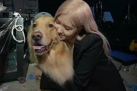 「BLACKPINK」「分享」201118 BLACKPINK ROSE和狗狗的温馨日常……撒娇满分图片