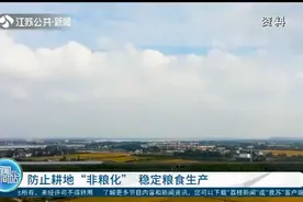 确保国家粮食安全！防止耕地“非粮化”，稳定粮食生产视频封面