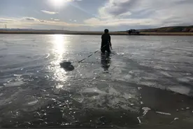 野狼受困冰湖，他们奋不顾身跳湖解救图片