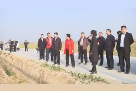 济宁市人大调研组来鱼台县调研稻田回水污染治理工作图片