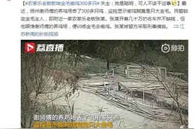 农家乐老板教唆金毛偷鸡300多只 失主：狗是聪明，可人不该干这事图片