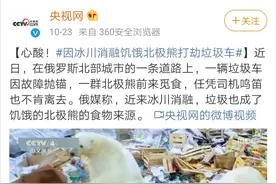 身陷多重困境，北极熊或将于2100年灭绝图片