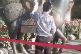 阻止游客的孩子骑雕塑，杭州西湖保安遭辱骂“像狗一样”图片