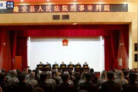 涉黑资产2000多万元 广西南宁“巫氏家族”黑社会组织42人二审开庭图片