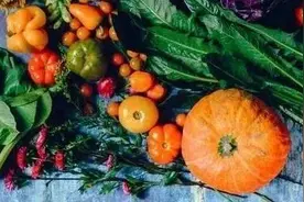 秋后多吃这些“养生瓜”！好处不请自来……图片