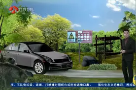 惊魂！事发海口一动物园：黑熊突然爬上引擎盖，挡风玻璃被压裂视频封面