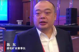 盛屯矿业集团董事长陈东：让四川锂走向世界图片