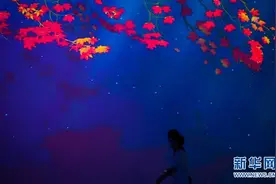 广州：灯光璀璨夜图片