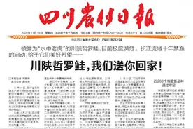 川陕哲罗鲑，我们送你回家图片