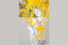 每个喜欢秒删朋友圈的人，都是一个孤独的小星球图片