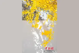 每个喜欢秒删朋友圈的人，都是一个孤独的小星球图片