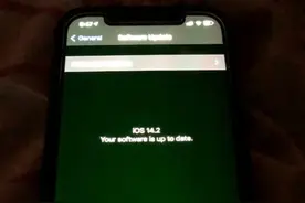 苹果首次公开回应iPhone 12系列“绿屏门”图片