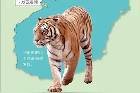 旋转而来的海南岛，未来它又将漂向何方？图片