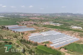 从荷兰回到张家口种树莓，他想用AI无人种植改变中国农业 | 钛媒体影像《在线》图片