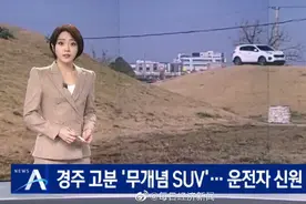 韩国男子开SUV上王室古墓最高判2年：以为是小土坡图片
