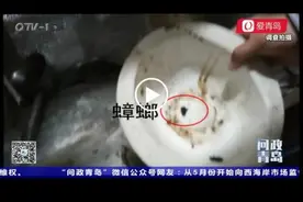外卖后厨两副面孔 摄像头接入平台和监管系统何时实现图片