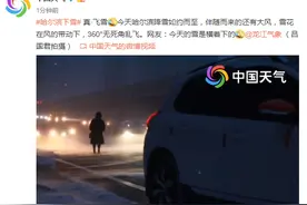 哈尔滨降雪如约而至，伴随而来的还有大风图片