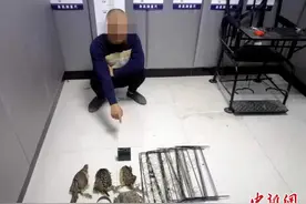 四川达州男子用“电媒”模拟播放动物叫声捕获竹鸡被警方抓获图片