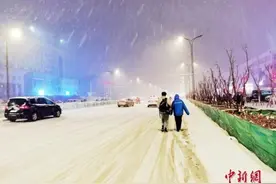 人类的悲欢并不相通：我在北方裹着貂，你在南方露着腰图片