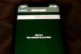 苹果承认iPhone12部分机型存在绿屏问题！出现绿屏问题怎么解决？图片