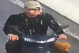 开奥迪的主人训练金毛犬偷鸡，案值较大警方已立案图片