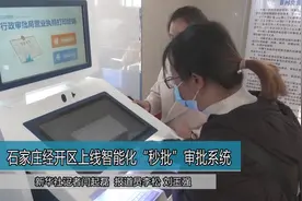 石家庄经开区上线智能化“秒批”审批系统视频封面
