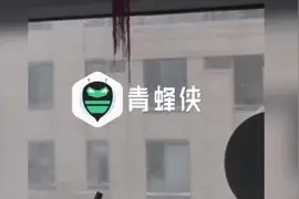 哈尔滨遭遇暴风雪：积雪深处逼近窗台 市民出行飞雪扑面打得脸疼视频封面