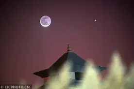 “新月抱旧月”与“金星合月”图片