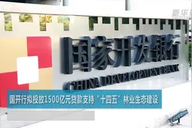 国开行拟投放1500亿元贷款支持“十四五”林业生态建设视频封面