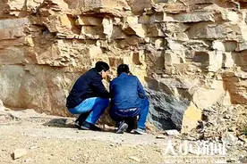 我市专家在海阳发现大量白垩纪植物化石图片