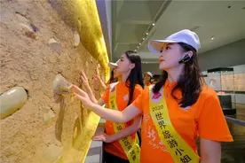 全是好看的小姐姐！2020世界旅游小姐60强代言星城长沙图片
