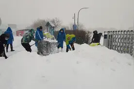 暴风雪天气 哈尔滨极地馆正常营业图片