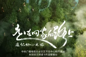 把真人秀做成纪录片，《走在回家的路上》有满满的治愈与感动图片