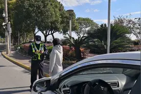 持外国驾照可以直接在国内开车上路？等待你的是拘留并罚款视频封面