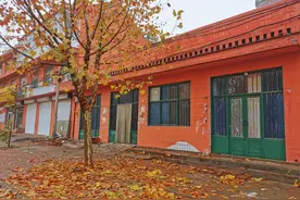 特写｜何以致死？被虐待的方洋洋的22岁冬天图片