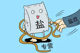 盐改：触动利益的改革，注定难以从内部进行图片